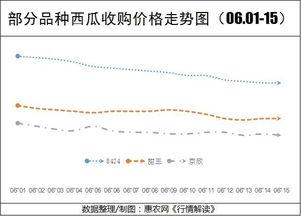 今日新疆瓜价走势如何,市场供需动态分析